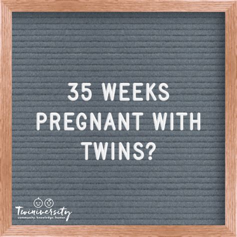 twin pregnancy week by week timeline twiniversity