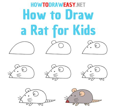 How To Draw A Rat For Kids How To Draw Easy
