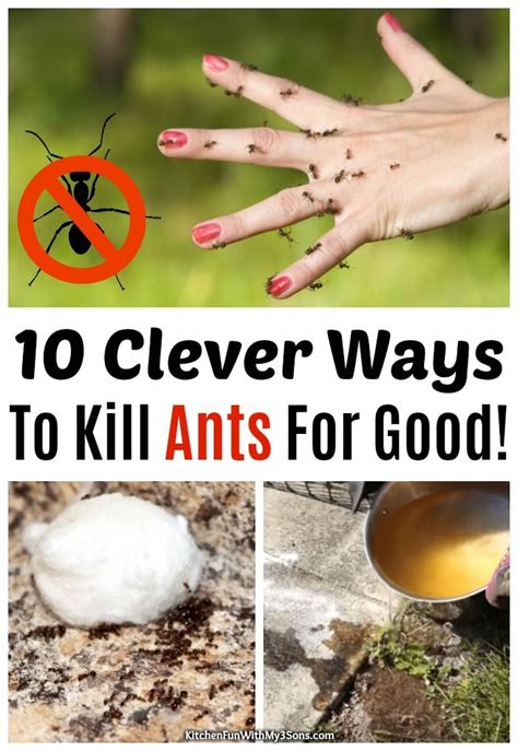 10 super clever ways to get rid of ants for good rid of ants get rid of ants kill ants
