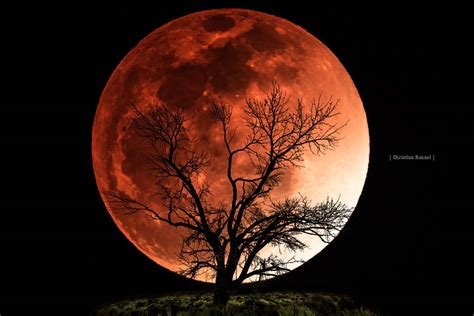 The Super Blue Red Moon Curious