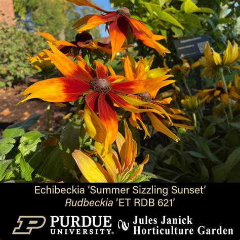 Jules Janick Horticulture Garden Purdue University Hla Happenings