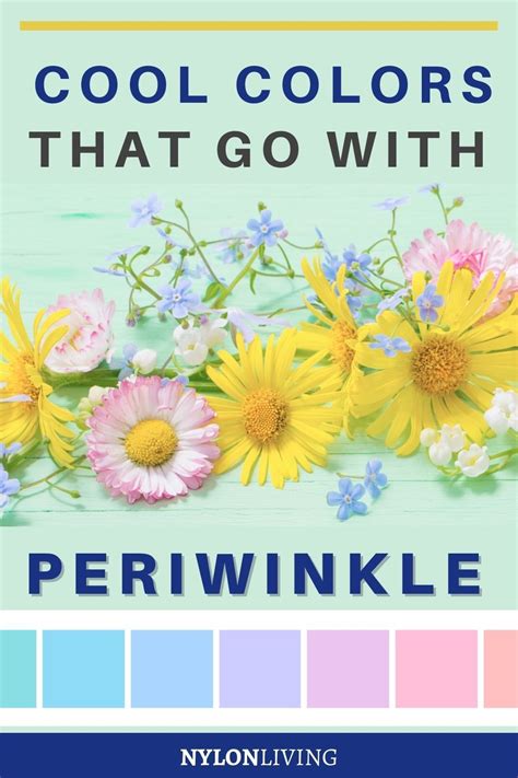 25 Fabulous Colors That Go With Periwinkle To Create A Mood In 2022