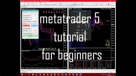 Metatrader Mt Mql Tutorial For Beginners Youtube