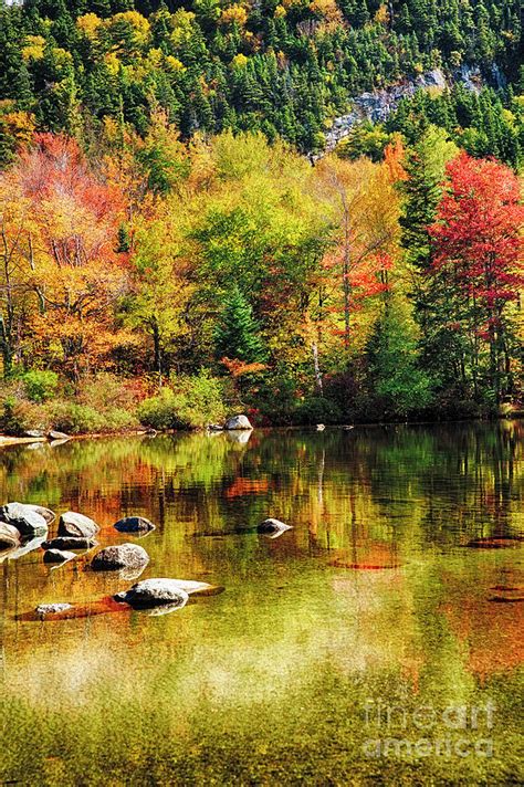 Autumn Lake Brilliance Photograph By George Oze Fine Art America