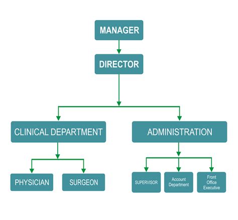 Hospital Pharmacy Organizational Chart