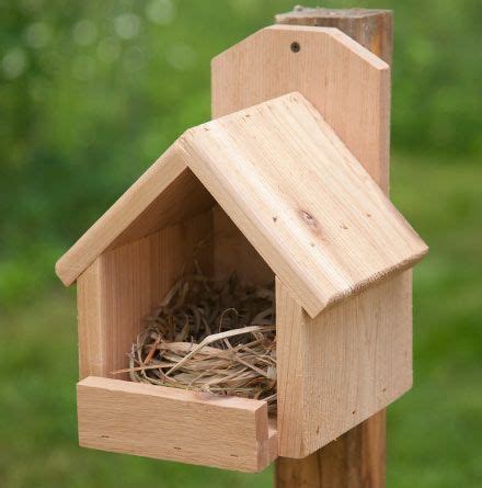 It is very inexpensive and the design this is a great pdf full of wonderful information. Woodwork Birdhouse Plans Cardinals PDF Plans #woodenbirdhouses | Bird houses diy, Bird house kits