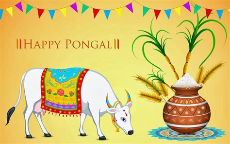 Sankranthi Pongal Image Collections For Free Naveengfx
