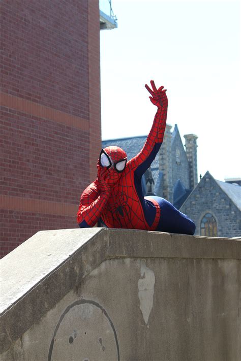 Free Stock Photo Of Funny Hero Spider Man