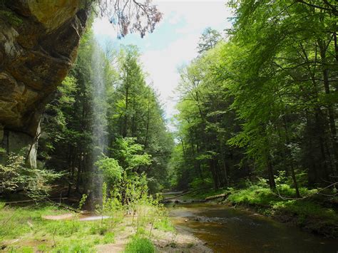 Best State Forests In Ohio