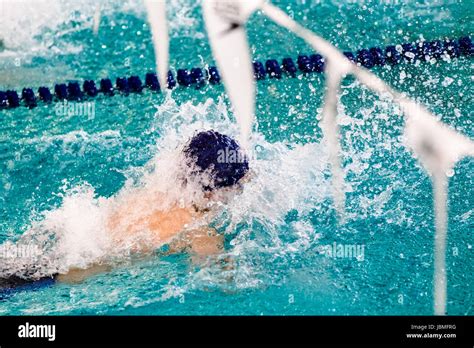 Freestyle Swimmers In A Race Stock Photo Alamy