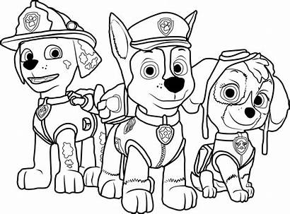 Paw Patrol Coloring Play Cartoon