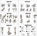 Beginner Exercise Programs Images