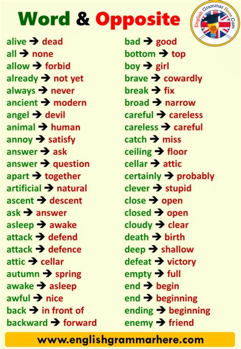 Opposite Antonym Words List In English Opposite Words Hot Sex Picture