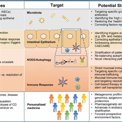 Summary Of Therapeutic Targets Underlying Mechanisms And
