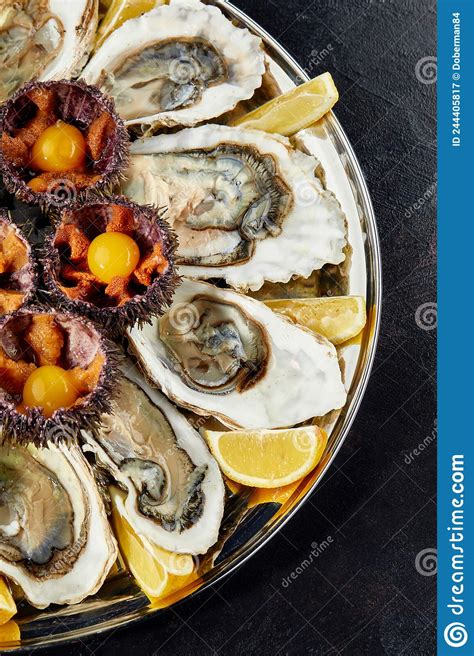 Top View Of Seafood Platter Shellfish Oysters Sea Urchin And