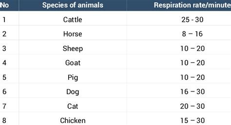 Most dogs and cats have a normal resting respiratory. The respiratory rate of domestic animal per minute ...