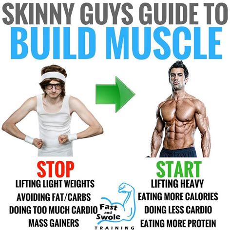 10 Rules For Building Muscles On Bulking Phase GymGuider Build