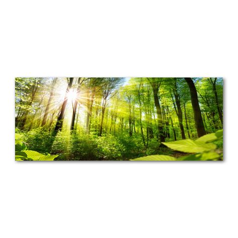 Union Rustic Forest In The Sun Unframed Art Prints On Canvas