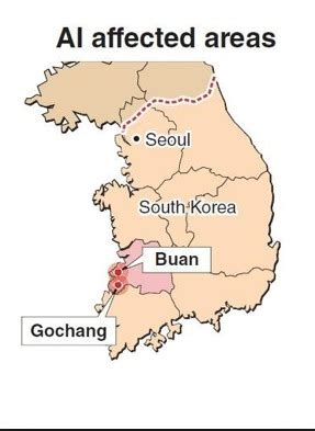 It should be noted that human infection with a(h5n6) of related clade 2.3.4.4 has already occurred. Novel Reassortant Influenza A(H5N8) Viruses, South Korea ...