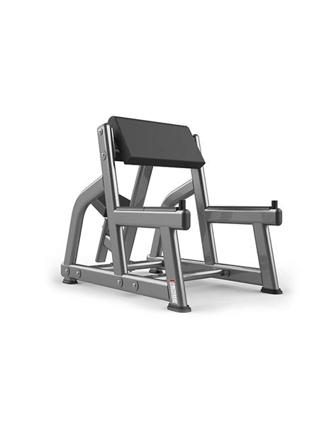 Seated Arm Curl Fw 1004 Into Wellness