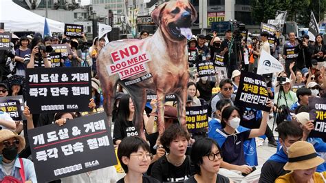 South Korea Passes Bill To Ban Sale And Consumption Of Dog Meat World