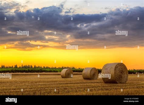 Sunset Over Farm Field With Hay Bales Stock Photo Alamy