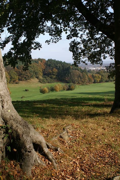 View Across The Fairways At Telegraph Woods Southampton Flickr