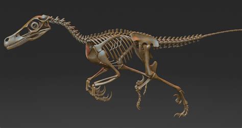 Artstation Velociraptor Skeleton Evgeniy Mahnyov Dark Souls Dinosaur Exhibition Dragons