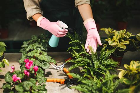 Accidentally Sprayed Bleach On Plants What Should You Do Eat