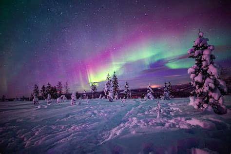 Rovaniemi Northern Lights Wilderness Tour With Camera Getyourguide