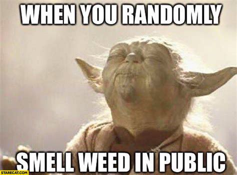 When You Randomly Smell Weed In Public Yoda Meme Starecat Com