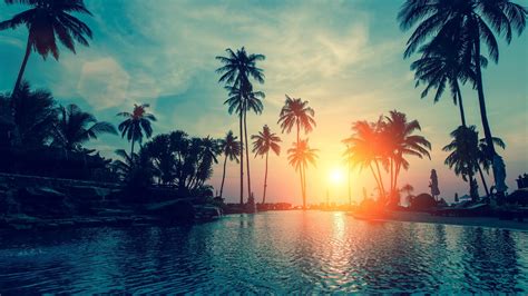 Sunset 2560x1440 Palm Trees Tropical Beach Hd Media File