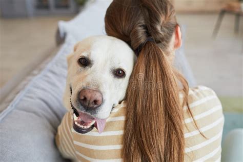 Happy Dog Cuddling With Human Stock Photo Image Of Sitting Animal