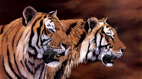 Art Jonathan Truss Tigers Animal Beauty Painting Wallpapers Hd