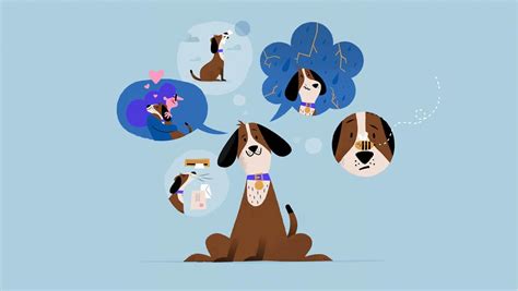 Understanding Dogs Emotions Petplan