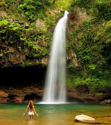 14 Best Tropical Waterfalls In The World Tropikaia Waterfall