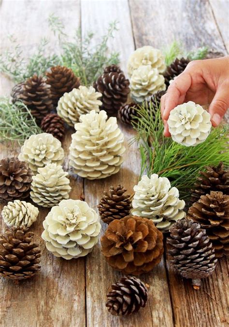 make beautiful bleached pinecones in 5 minutes without bleach non toxic and easy diy pine cone