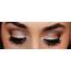 Neutral Eye With Bold Lashes  New Makeup Ideas Eyes