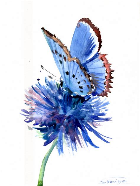 Mariposa Azul De La Flor Azul Acuarela Original Pintura 12 X Etsy
