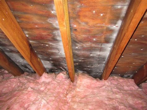 Dealing With Attic Condensation In Minnesota Homes Info And Prevention