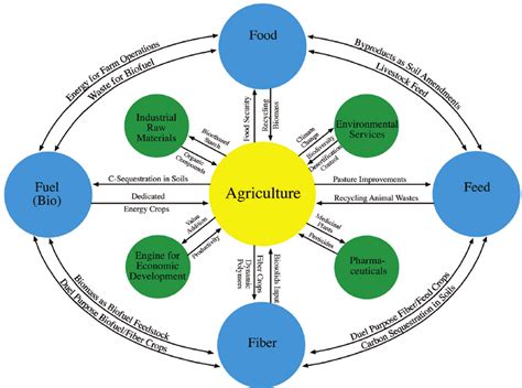 Expanding Role Of Agriculture In Modern Societies Download
