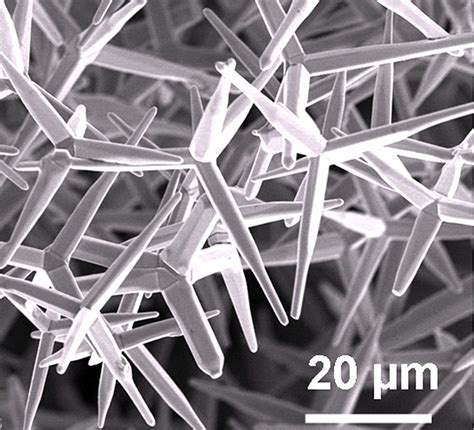 Predicting Fatigue Nanocrystals Reveal Damaged Material