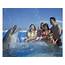 Marineland Dolphin Adventure  Visit Orlando