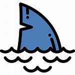 Shark Icon Icons