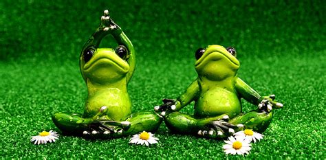 Royalty Free Photo Two Frogs Meditating Illustration Pickpik