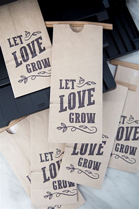 Omg These Diy Let Love Grow Succulent Wedding Favors Are The Cutest