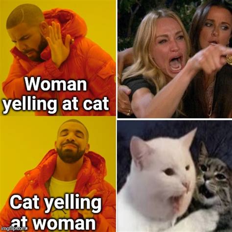 Lady Screaming At Cat Meme Template