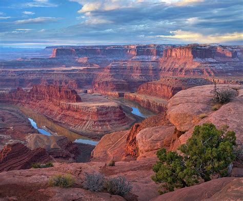 Colorado River From Deadhorse Point Canyonlands National Park Utah