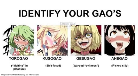 identify your gao s ass 7 g i torogao kusogao gesugao ahegao melting in sh t faced warped