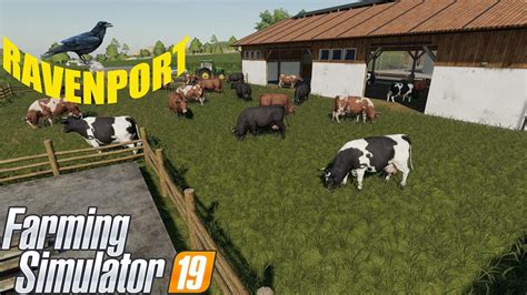 Ravenport Ep 43 Farming Simulator 19 Cows Youtube
